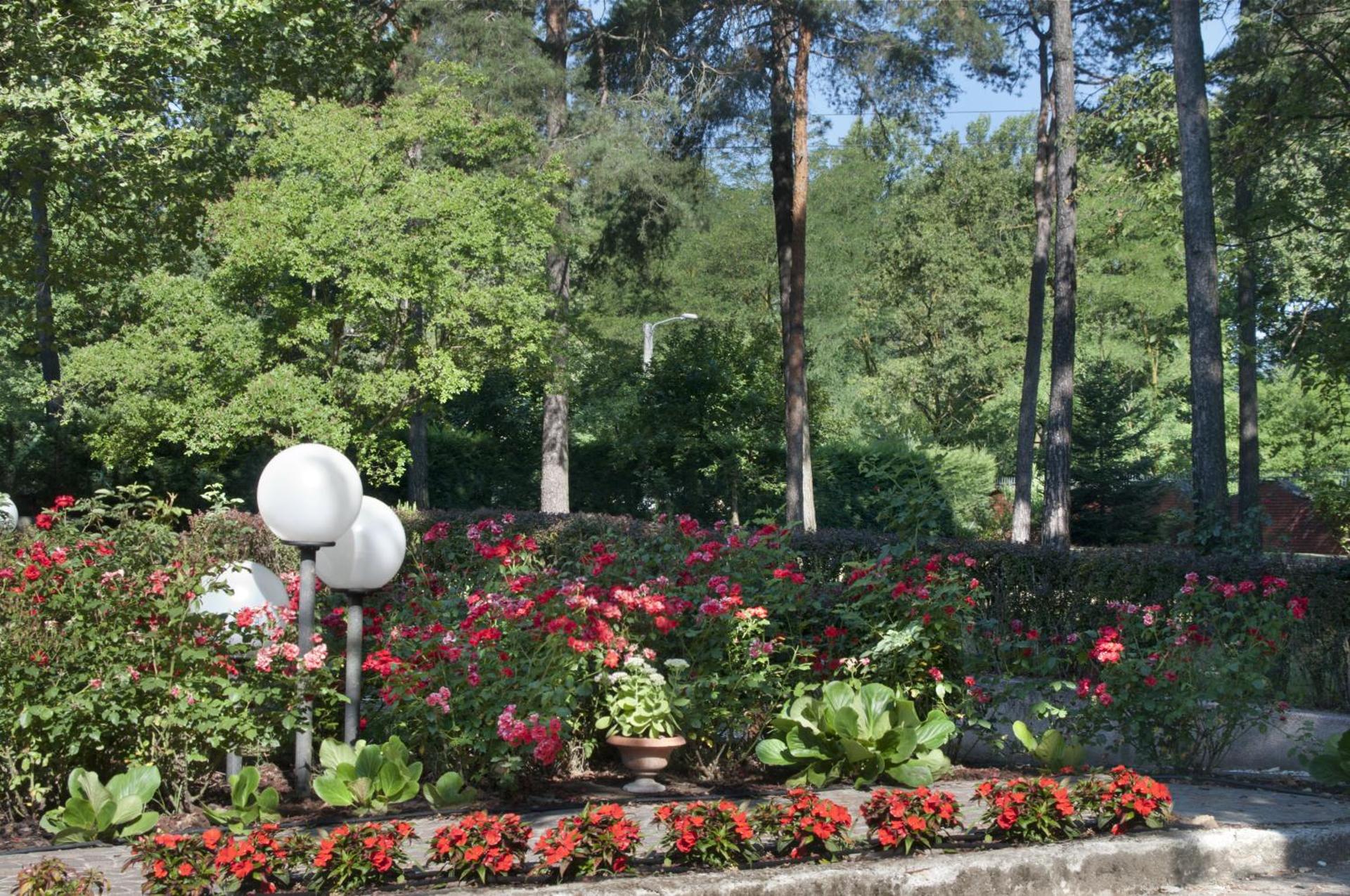 Bed&Garden - Photo 76