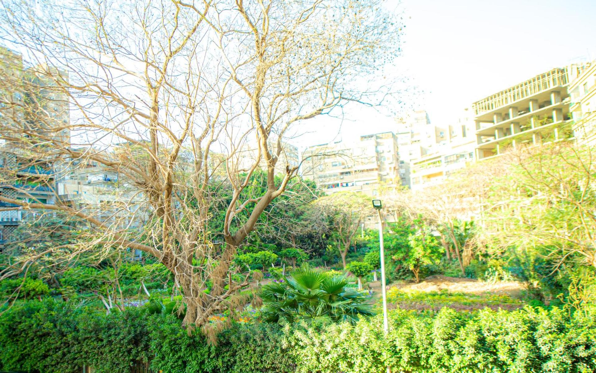 Elegance Tower - Photo 140