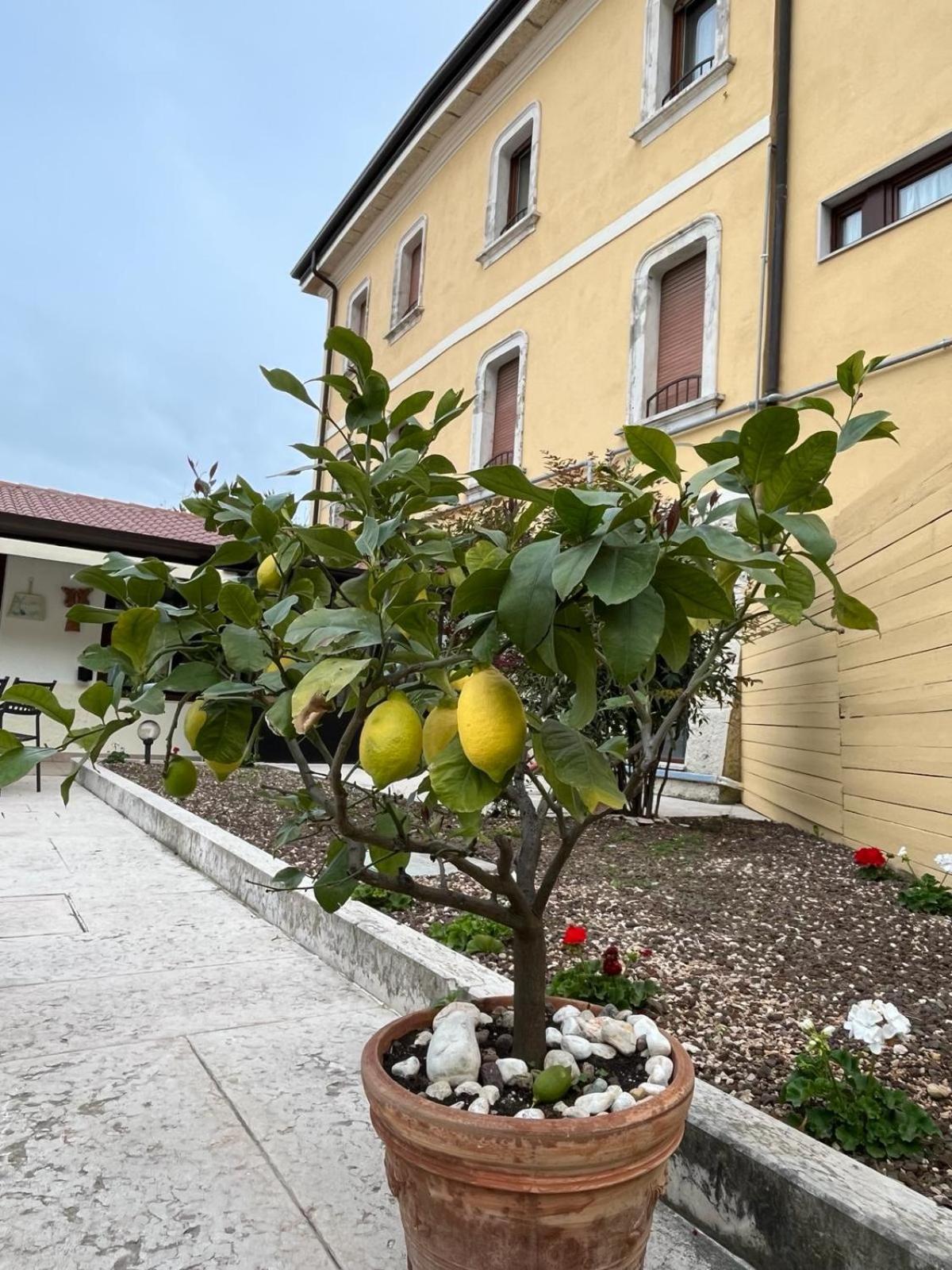 Locanda Moscal - Photo 11