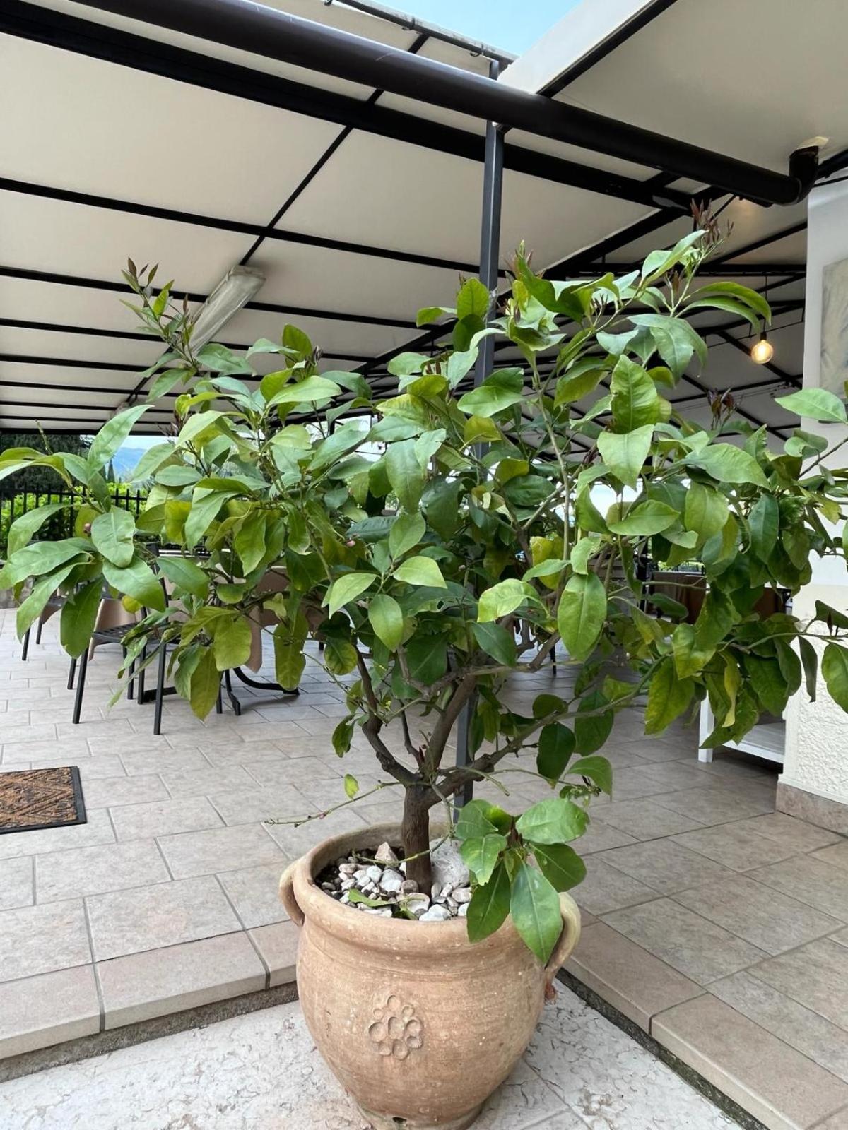 Locanda Moscal - Photo 12