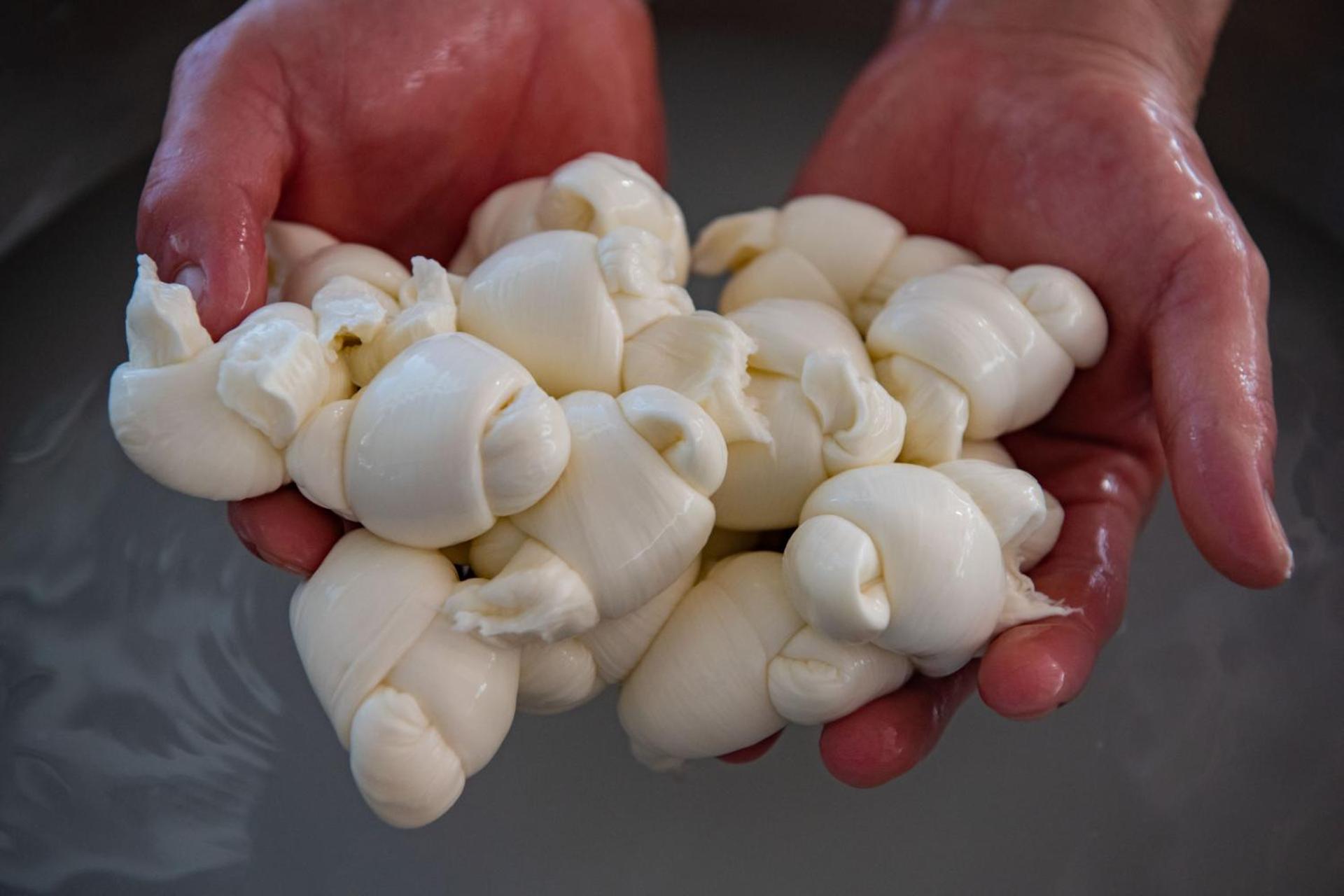 White Hotel - Photo 170