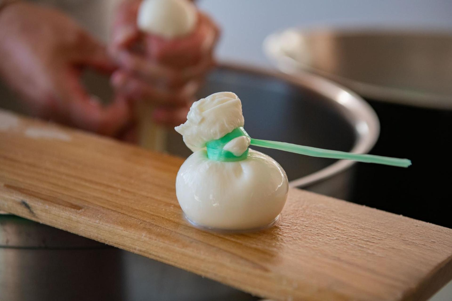 White Hotel - Photo 171