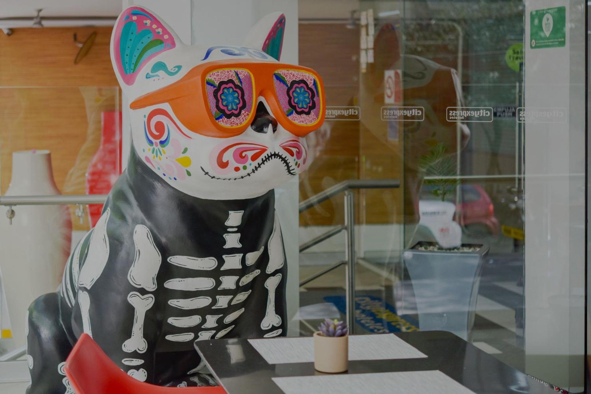 City Express by Marriott Ciudad de México Alameda - Photo 13