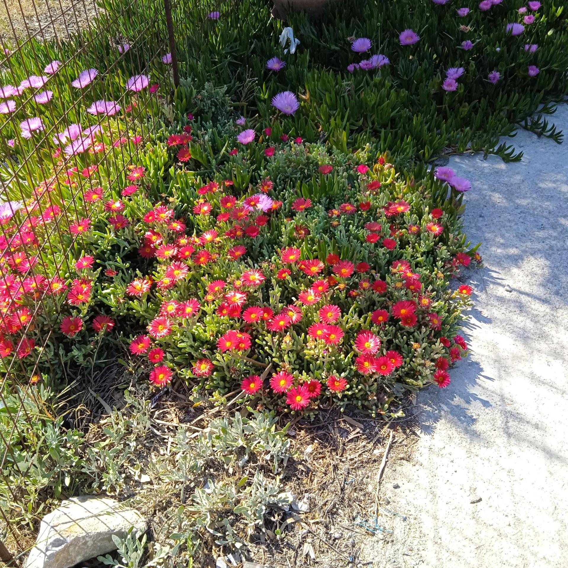 The Best - Photo 157