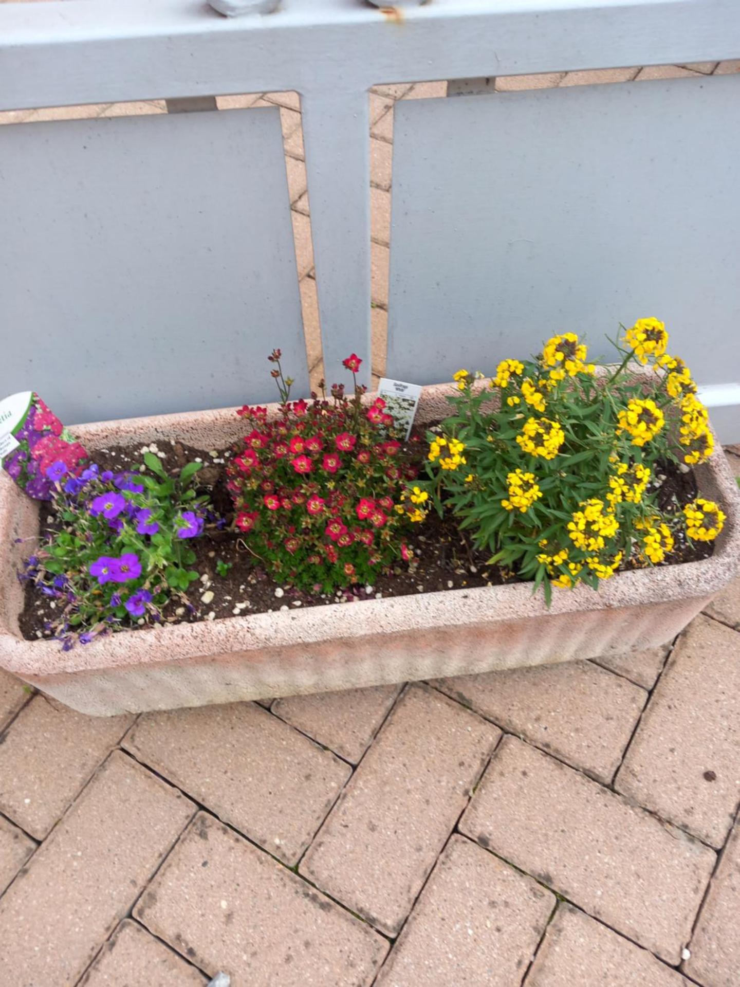 Casa Carolina - Photo 14