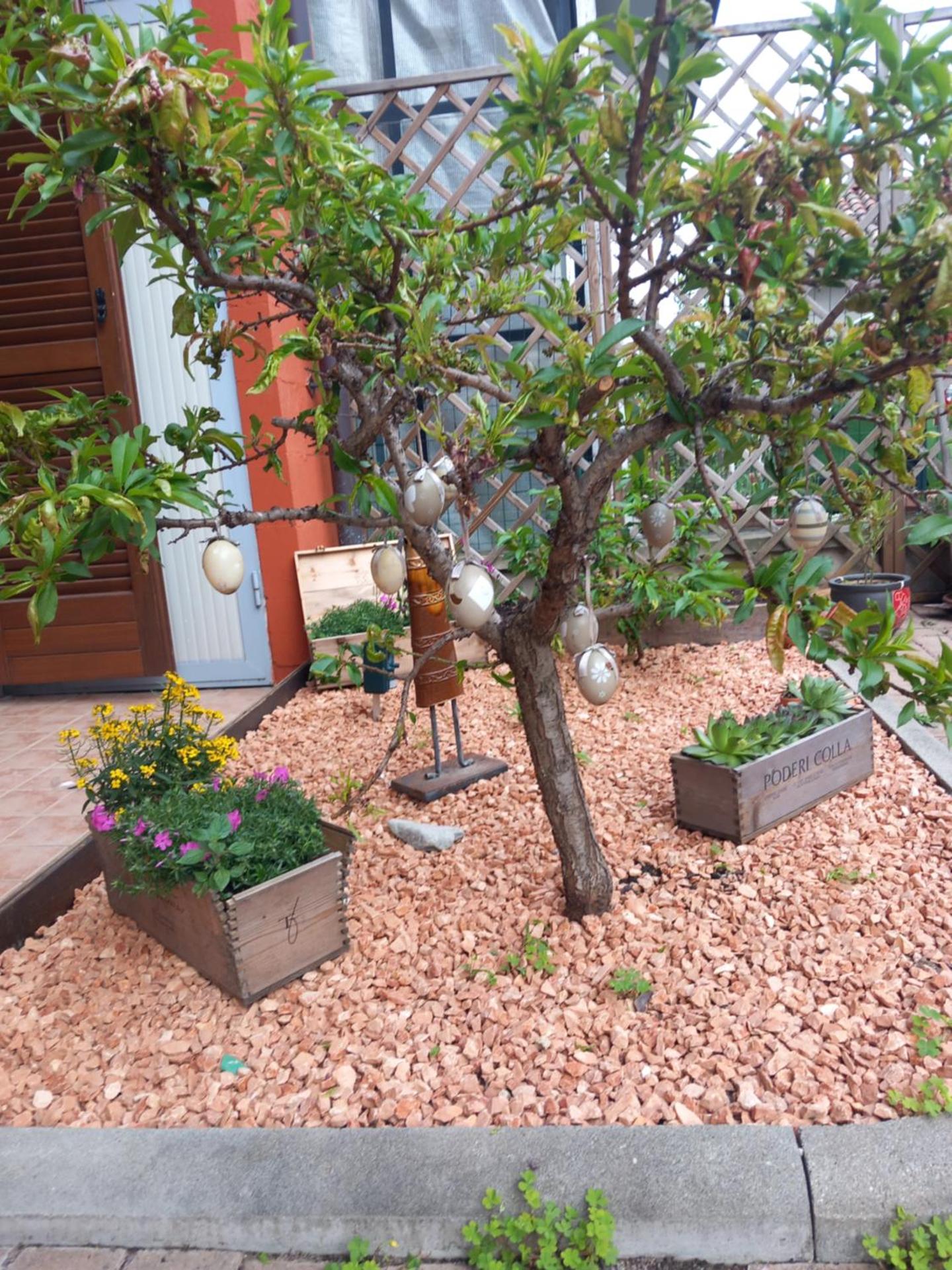 Casa Carolina - Photo 15