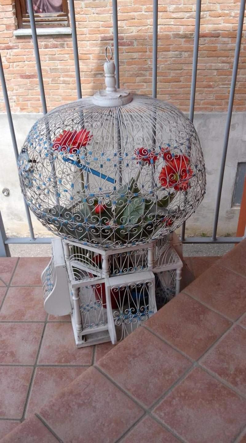 Casa Carolina - Photo 16