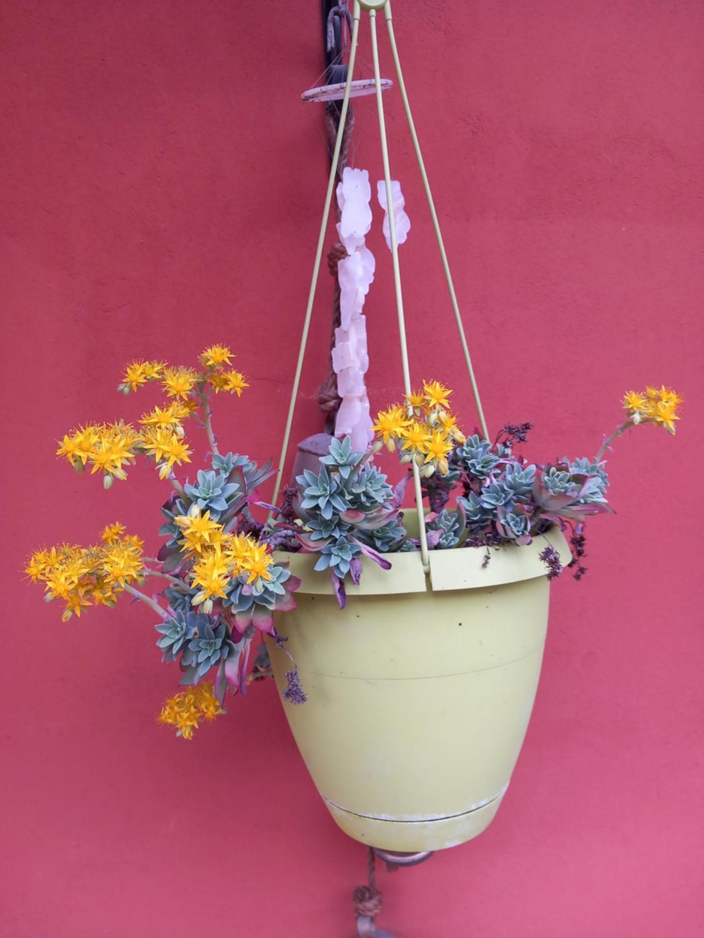 Casa Carolina - Photo 17