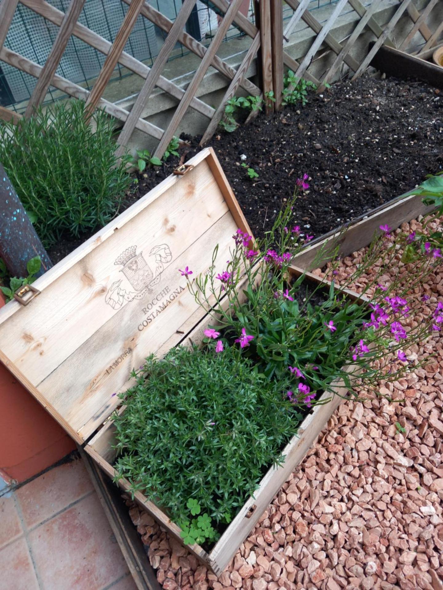 Casa Carolina - Photo 18