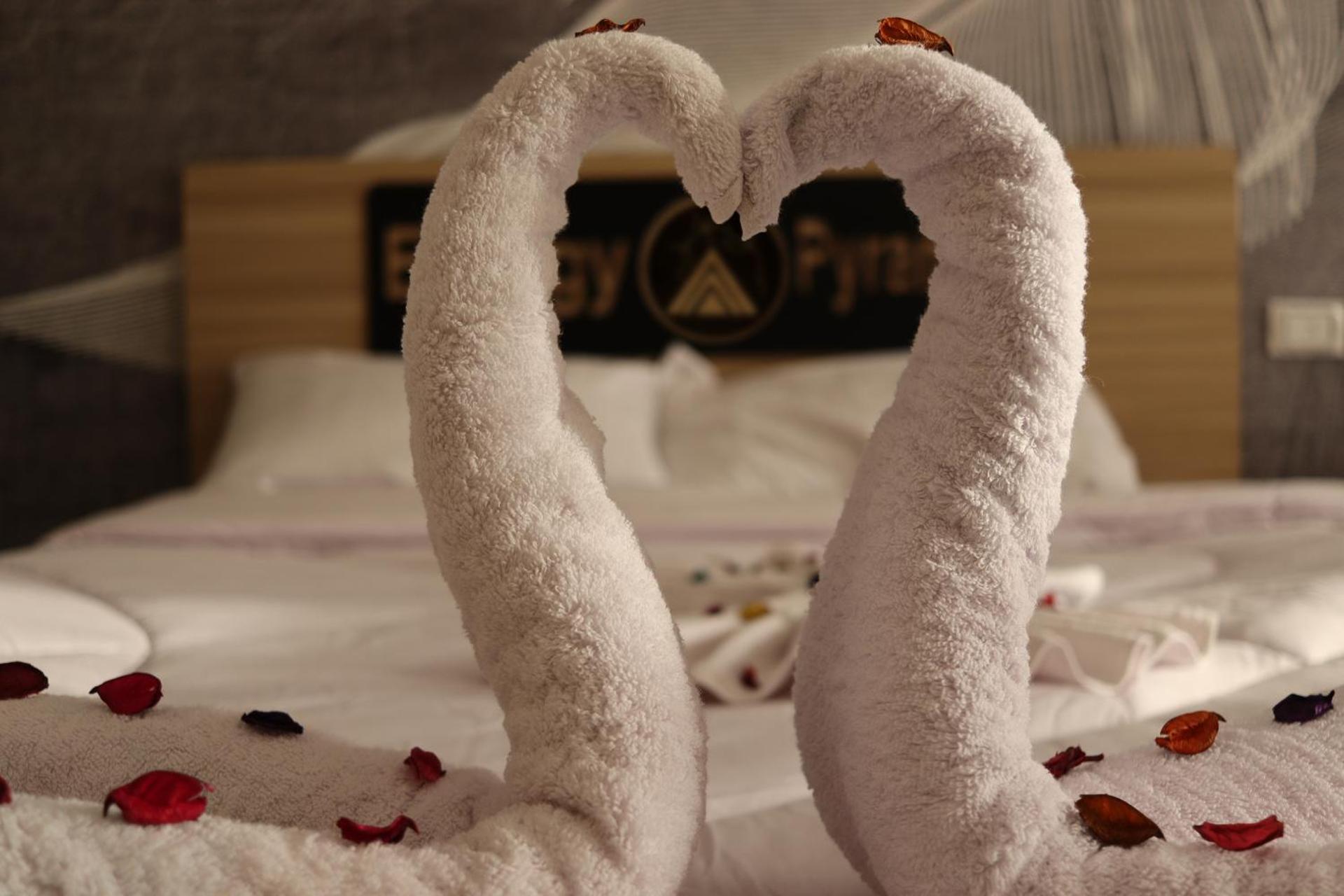 Energy Pyramids View - Photo 114