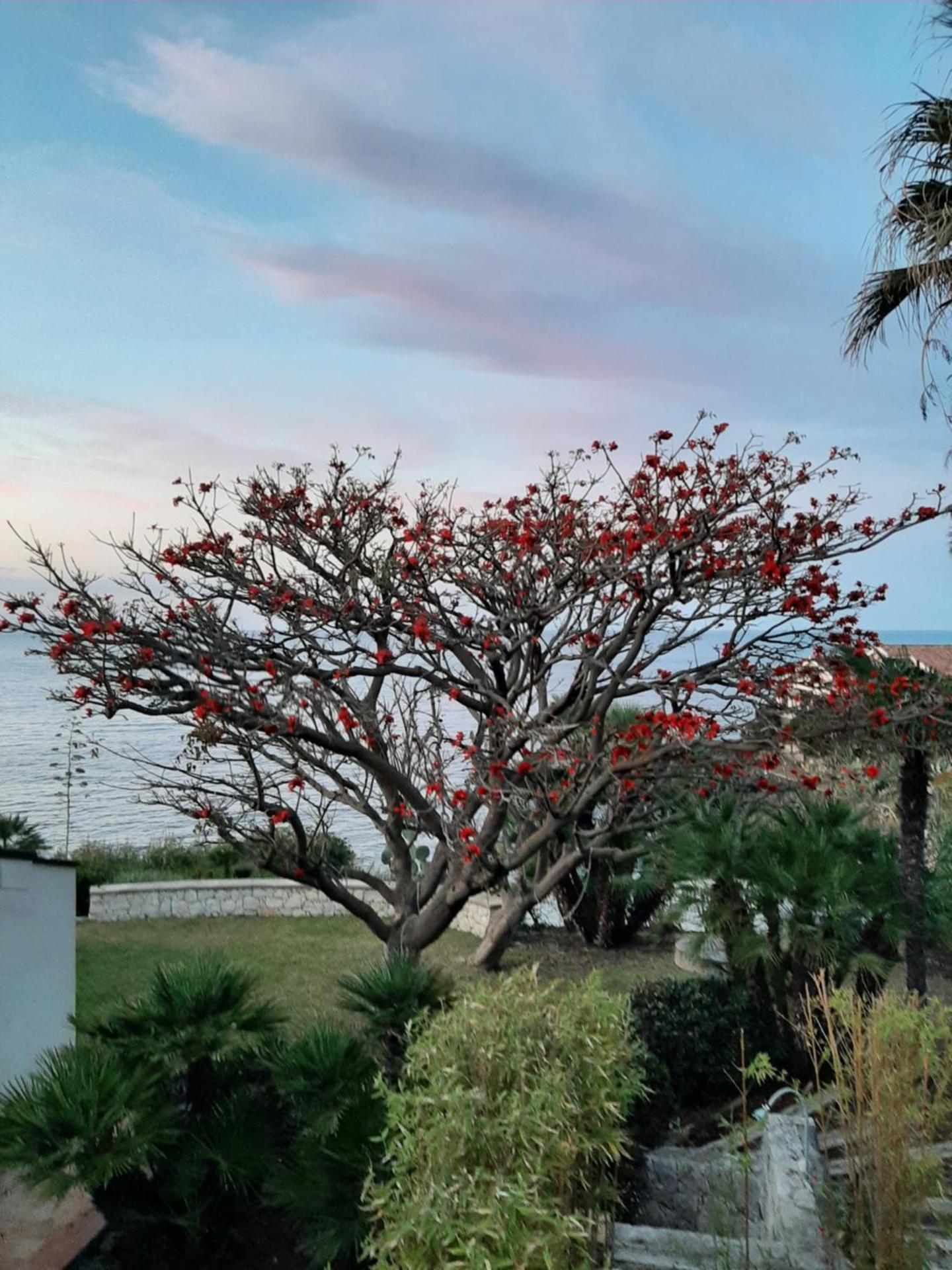 Appartamento In Villa Al Mare - Baia di Arcile - Photo 23
