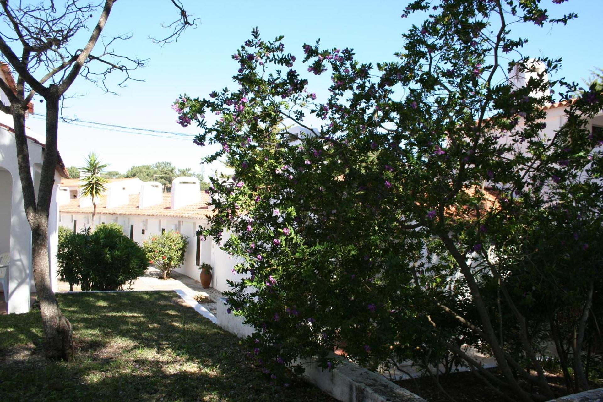Aldeia Da Falesia - Photo 86