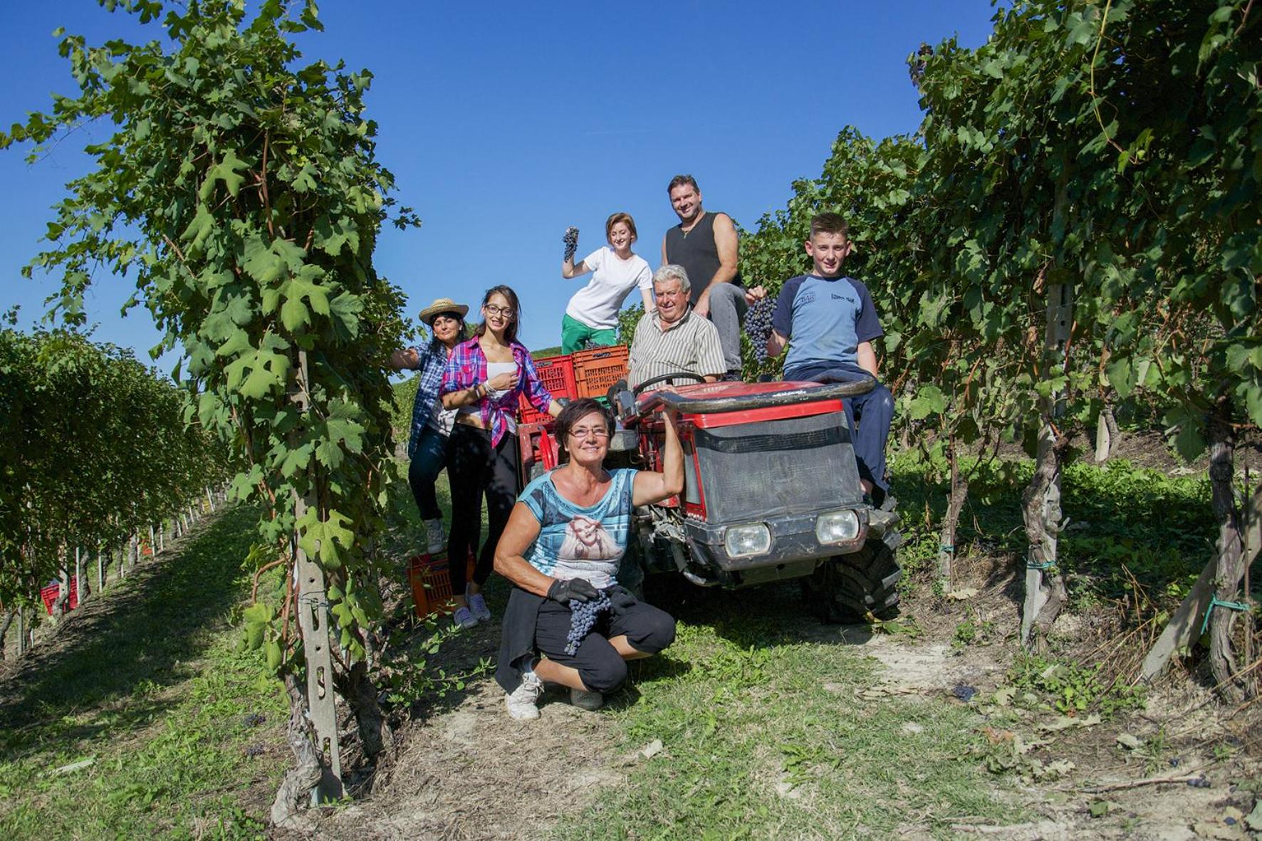 Villa Laura - Photo 101