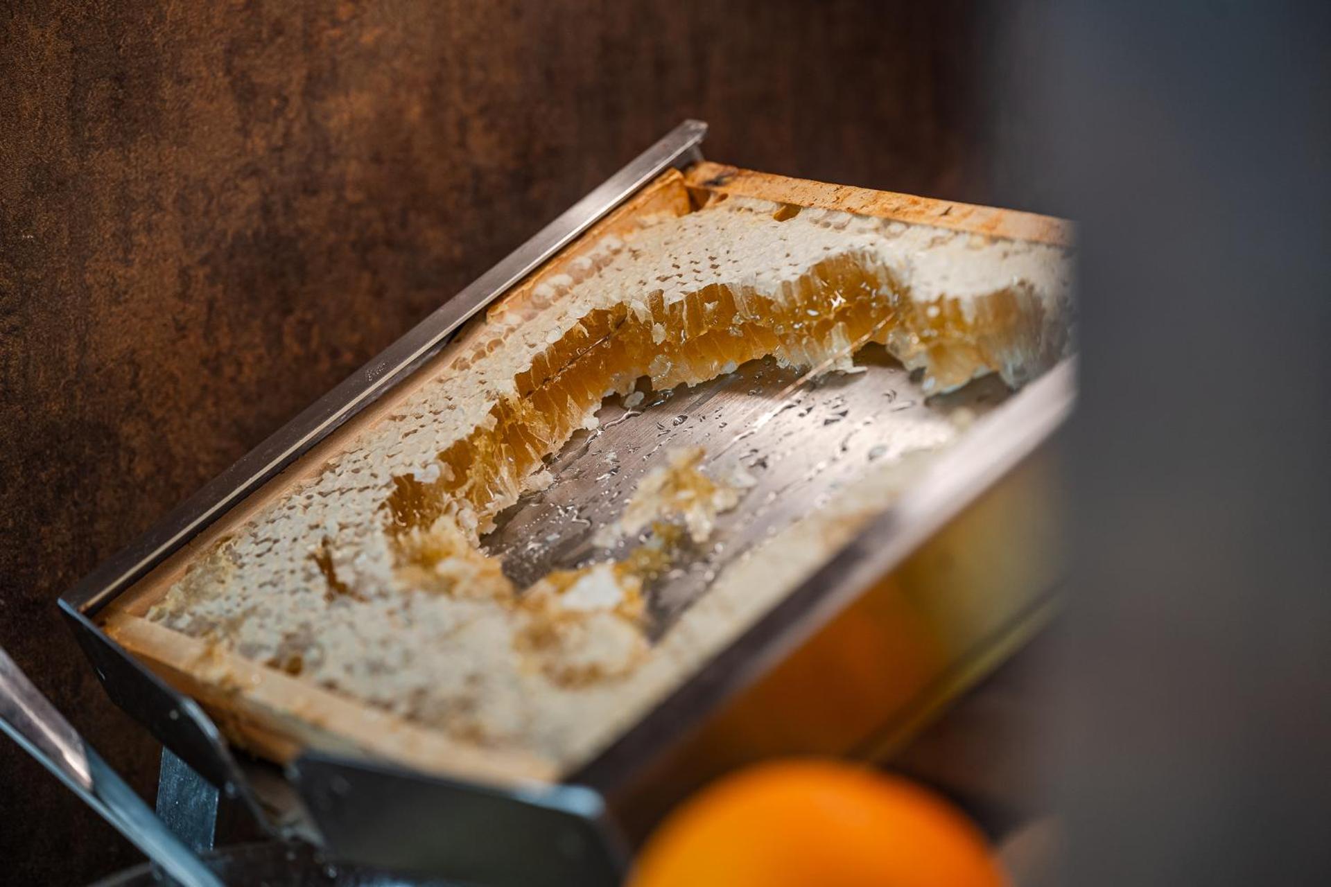 Hotel Astoria - Photo 98