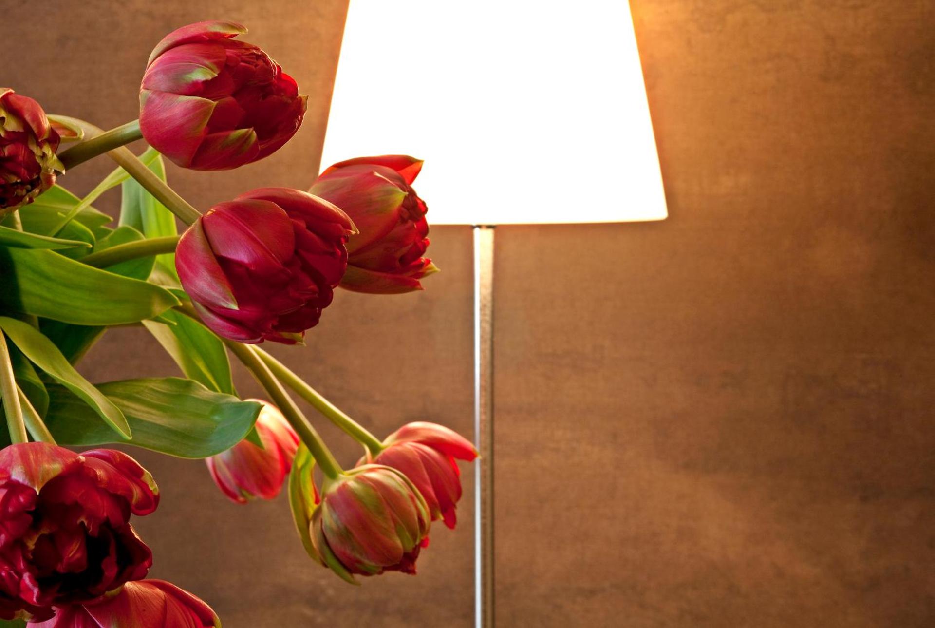 Best Western Hotel Metropoli - Photo 56