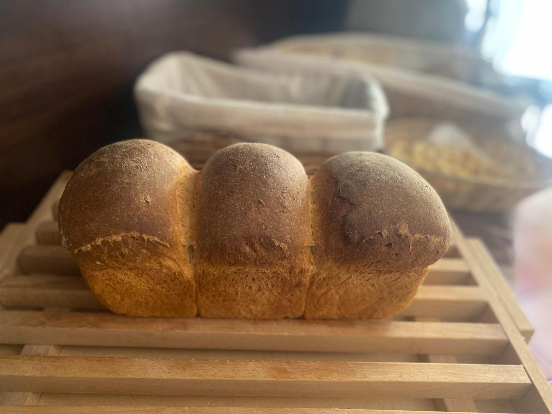 Villa Santacroce - Photo 57