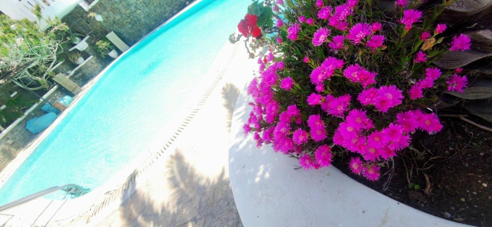 Mykonian Iros Suites & Villas - Photo 244