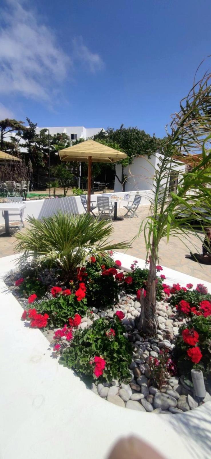 Mykonian Iros Suites & Villas - Photo 247