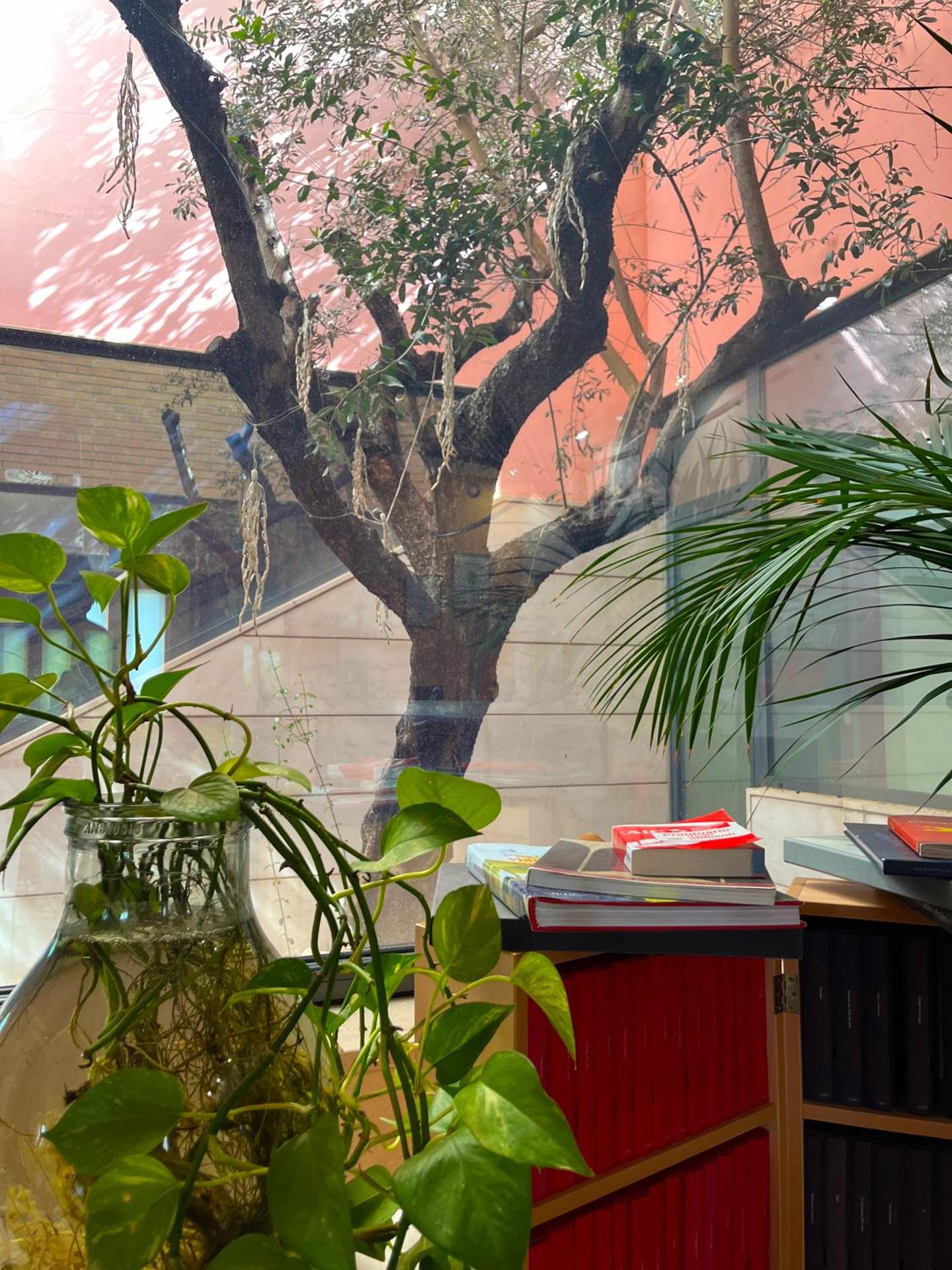 don guglielmo panoramic hotel & spa - Photo 93