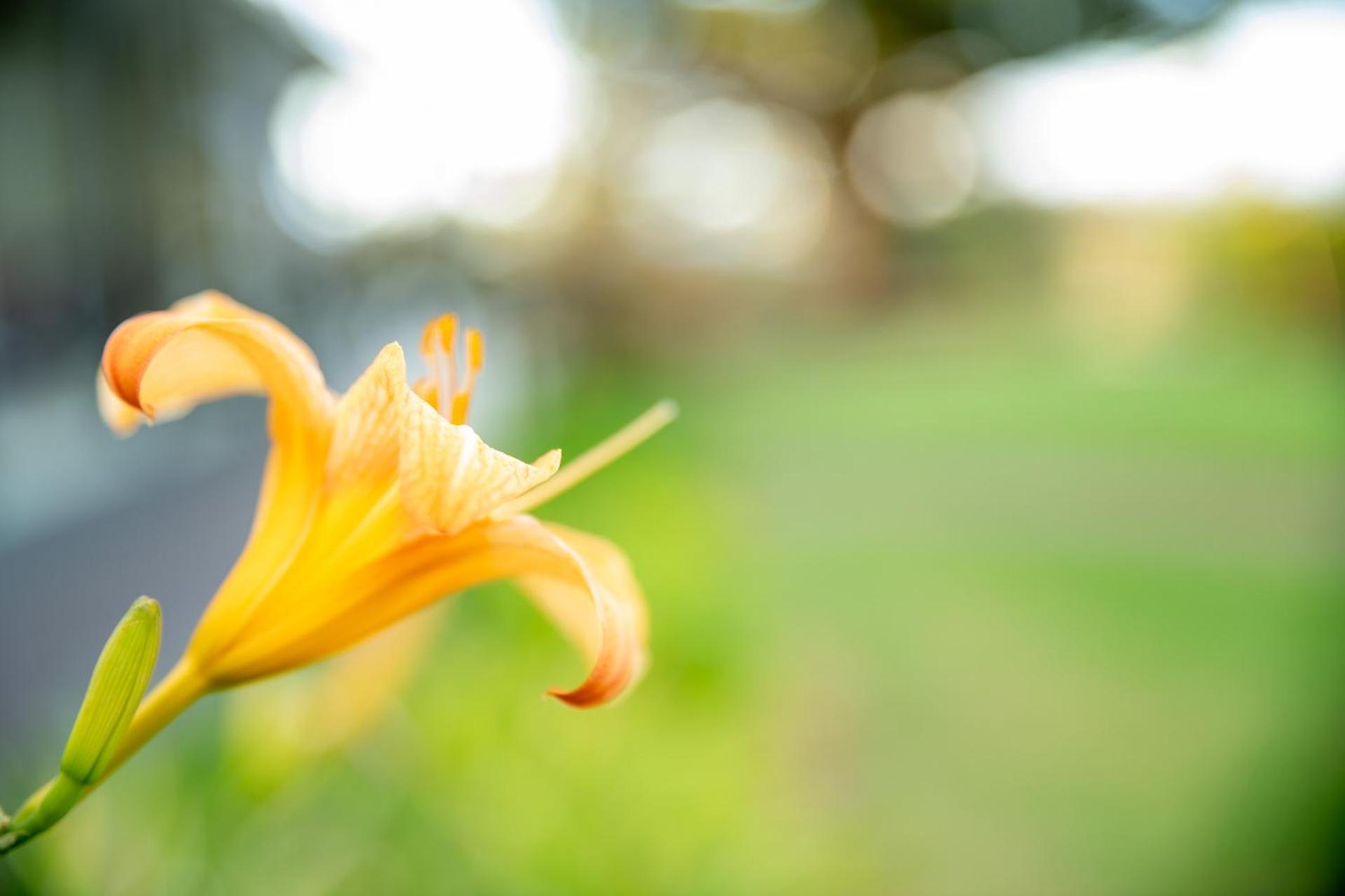 Cascade Garden Apartments - Photo 9