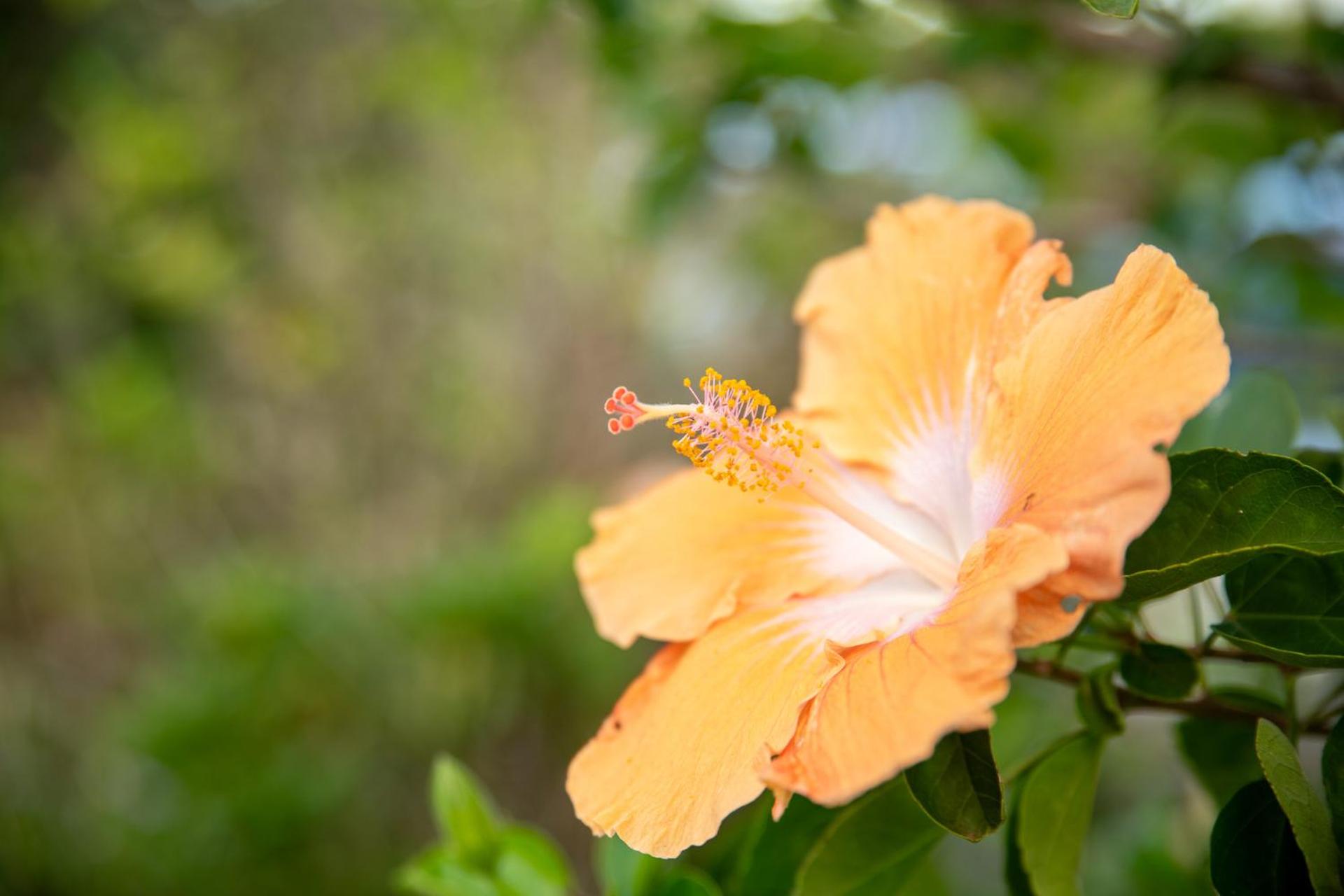 Cascade Garden Apartments - Photo 21