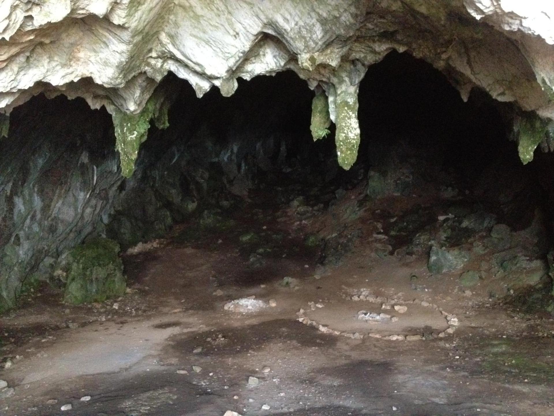 Fedriades Delphi Hotel - Photo 155