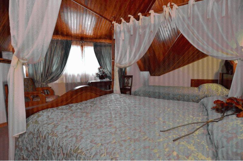 Hotel Apollon - Photo 24