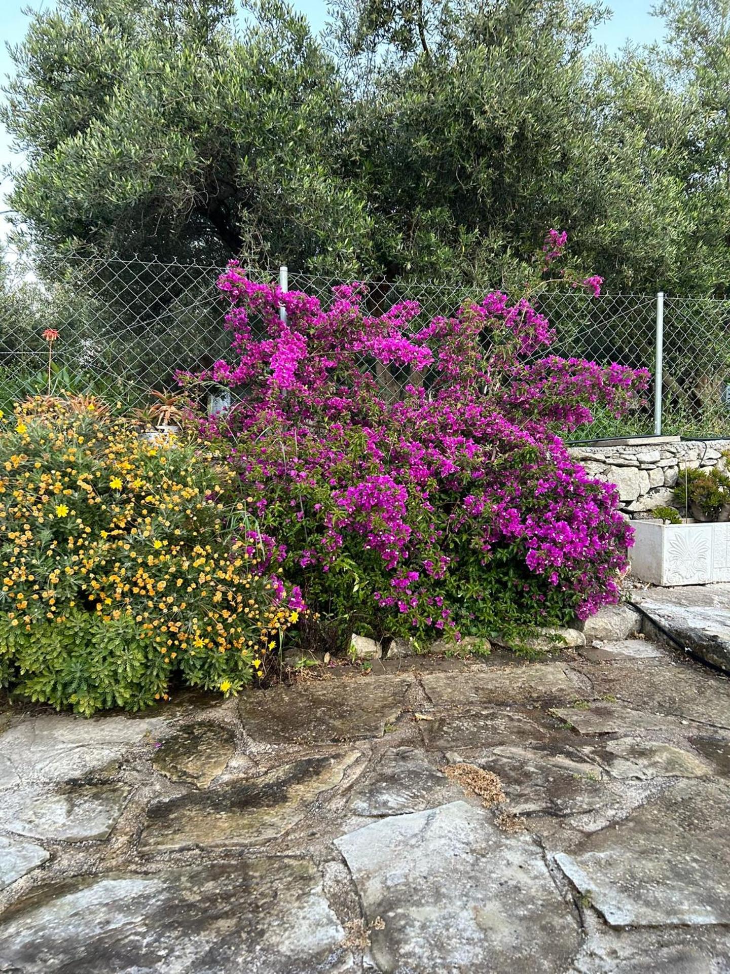 Old stone villa in Apokoronas Villa Nostalgia Kreta - Photo 38
