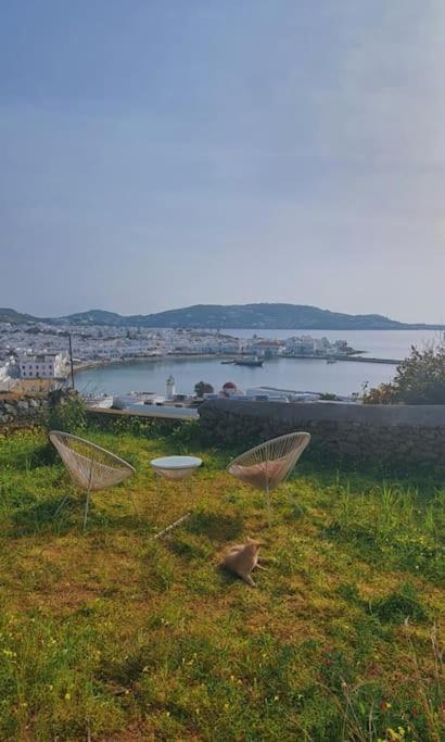 Garden house of Mykonos - Photo 21