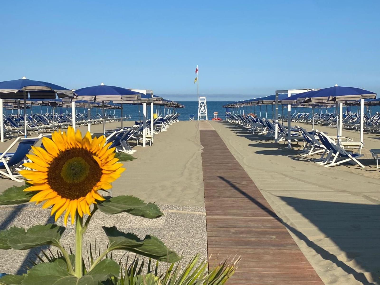 Cosmopolitan Golf & Beach Resort - Photo 46