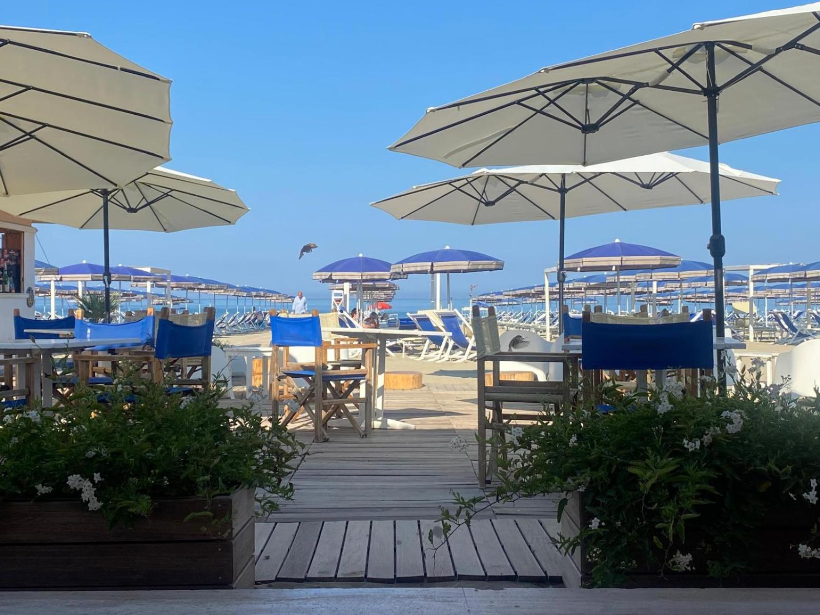 Cosmopolitan Golf & Beach Resort - Photo 53