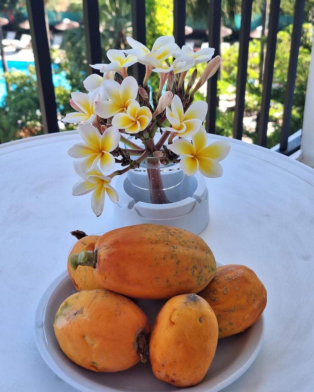 Veronica Hotel - Photo 19