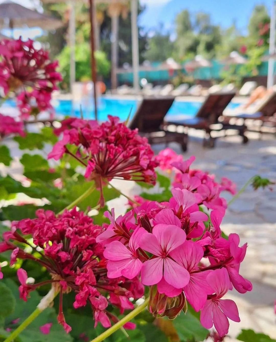 Veronica Hotel - Photo 20