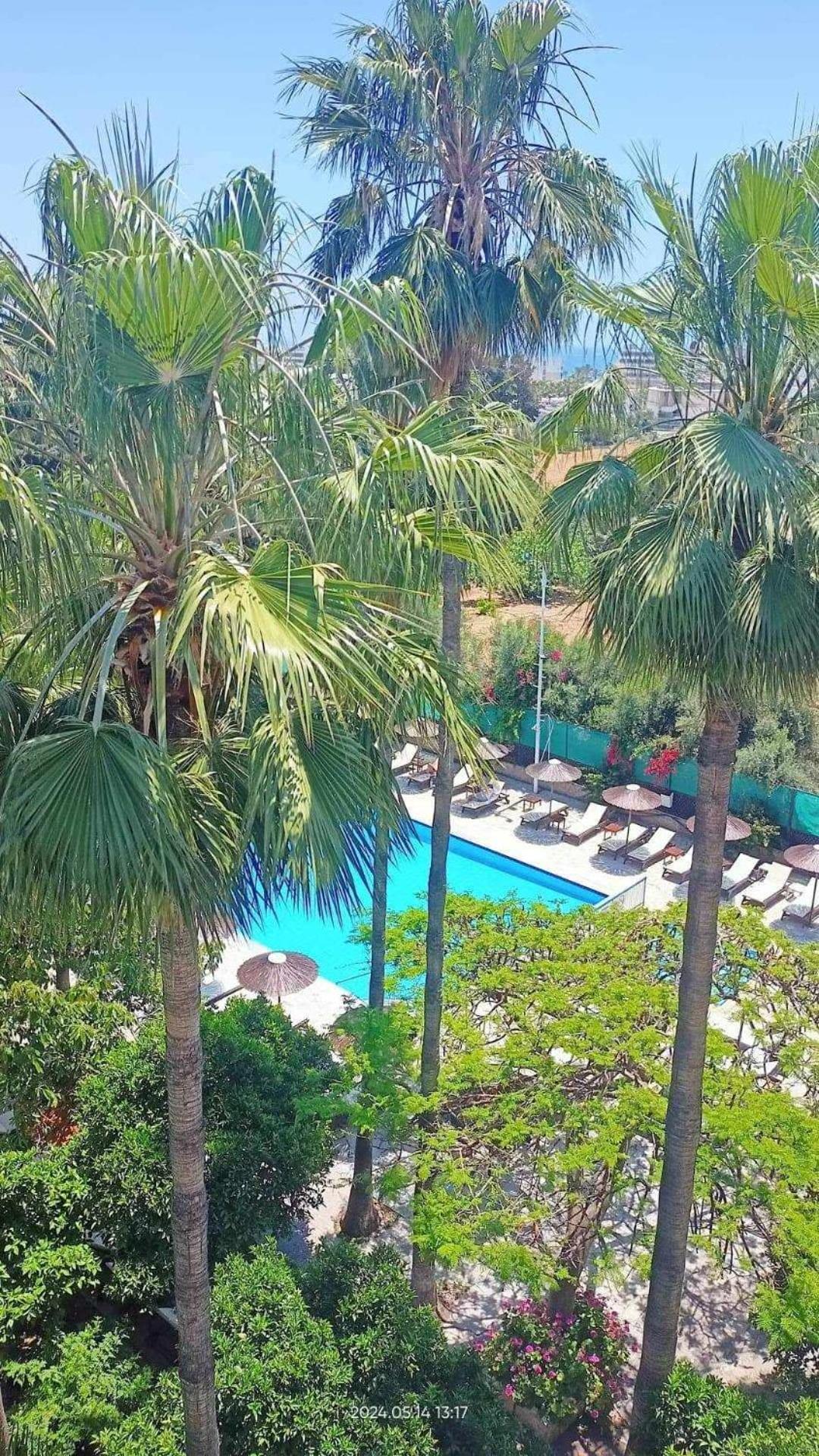 Veronica Hotel - Photo 13