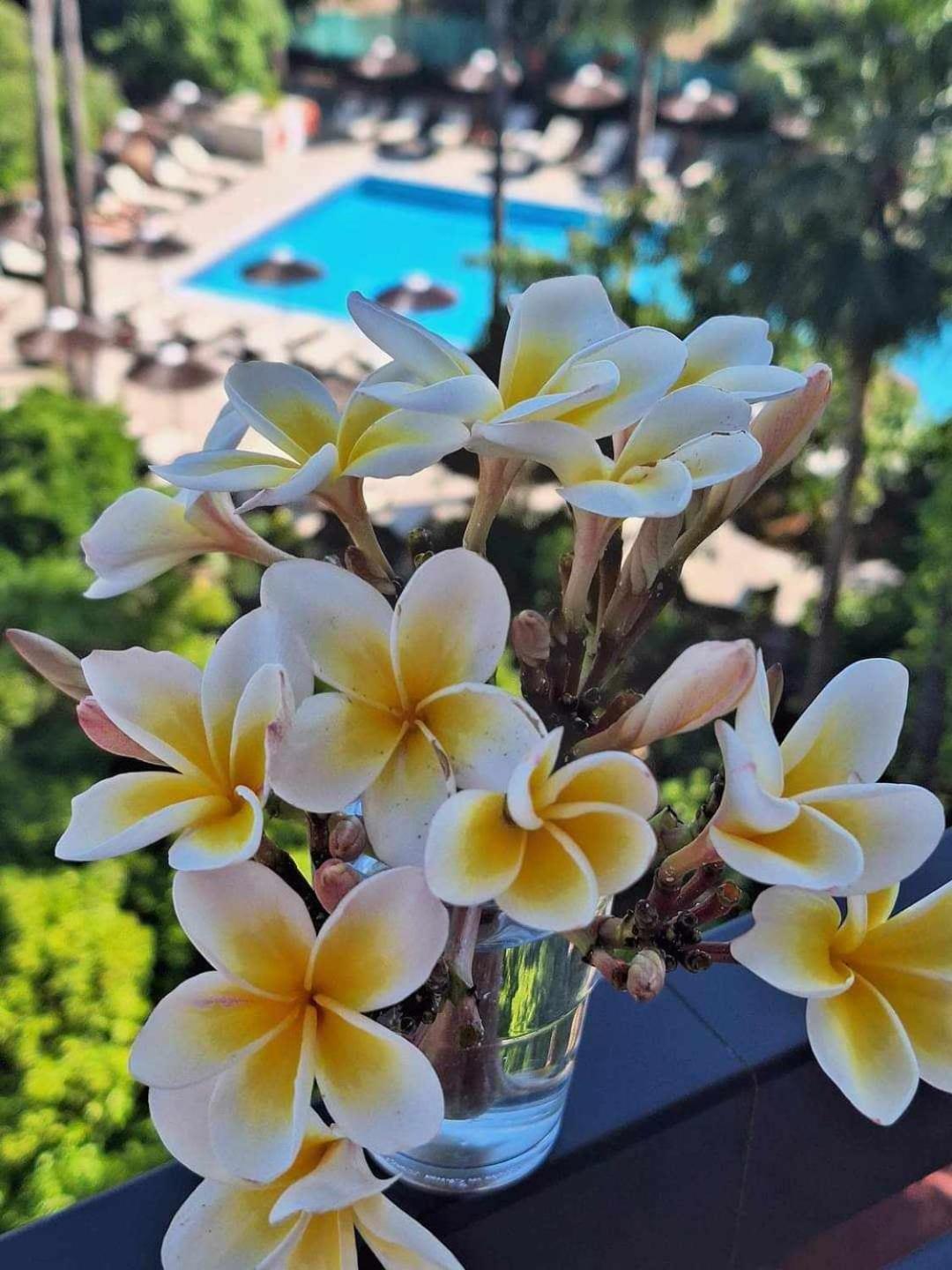 Veronica Hotel - Photo 18