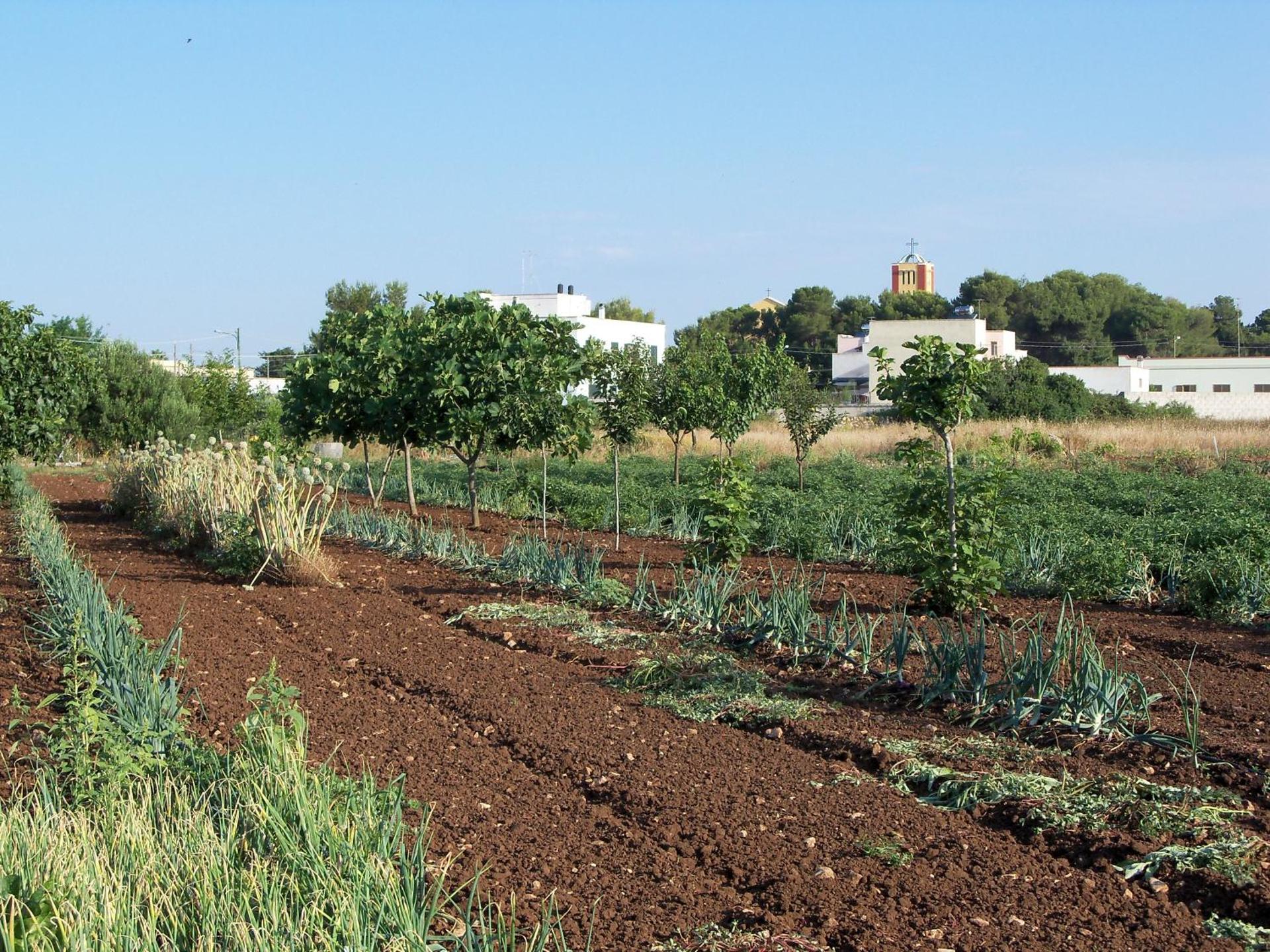 Agriturismo Il Pavone - Photo 73