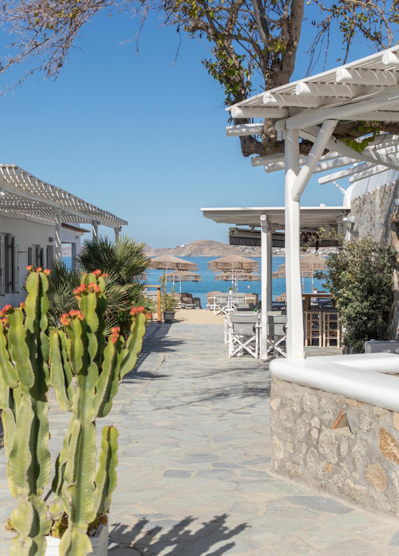 Agia Anna Beachfront Boutique - Photo 117