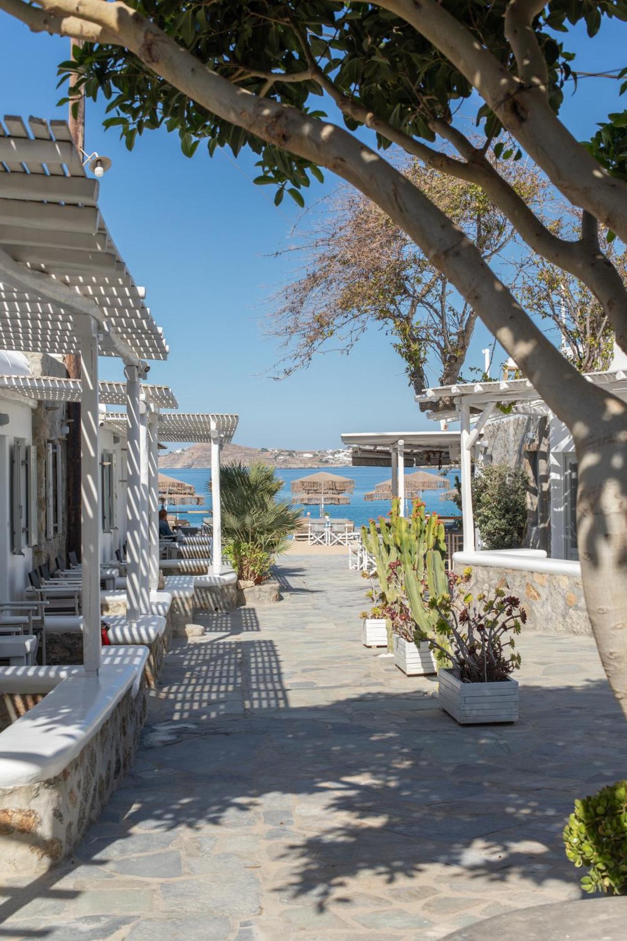 Agia Anna Beachfront Boutique - Photo 128