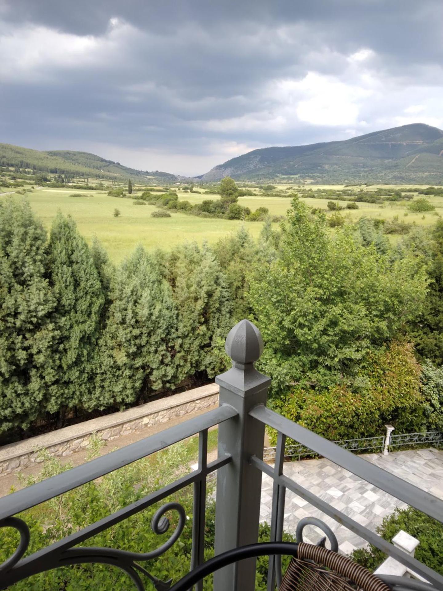 Xenios Petritis - Photo 7