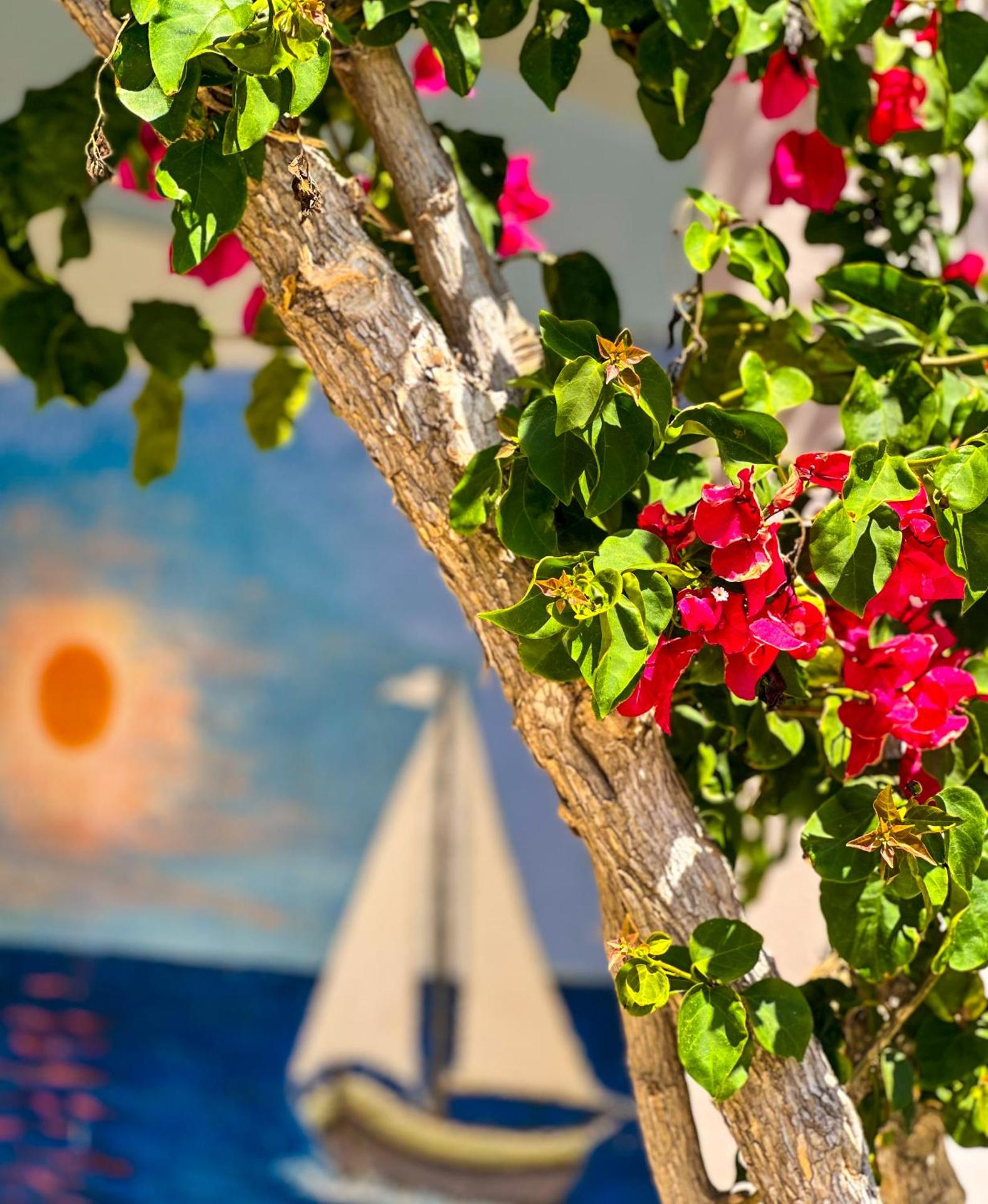 Salora Studio-Apartments - Photo 15