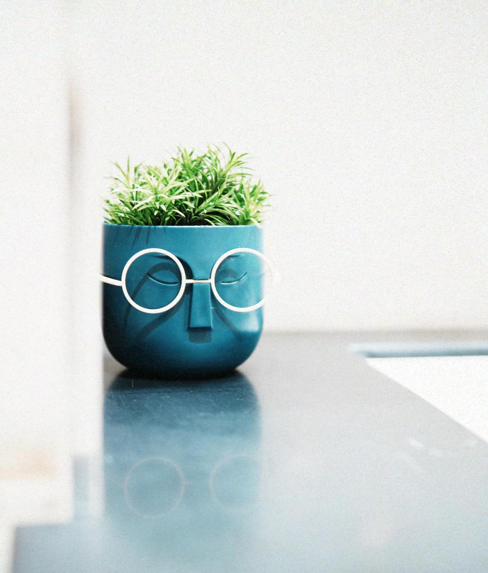 Hotel Blue Sky - Photo 197