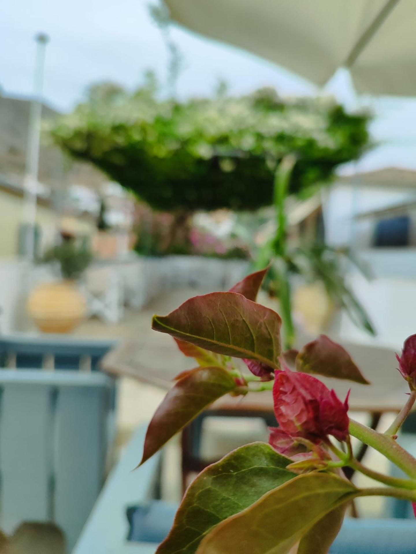 Sidra Hotel - Photo 104