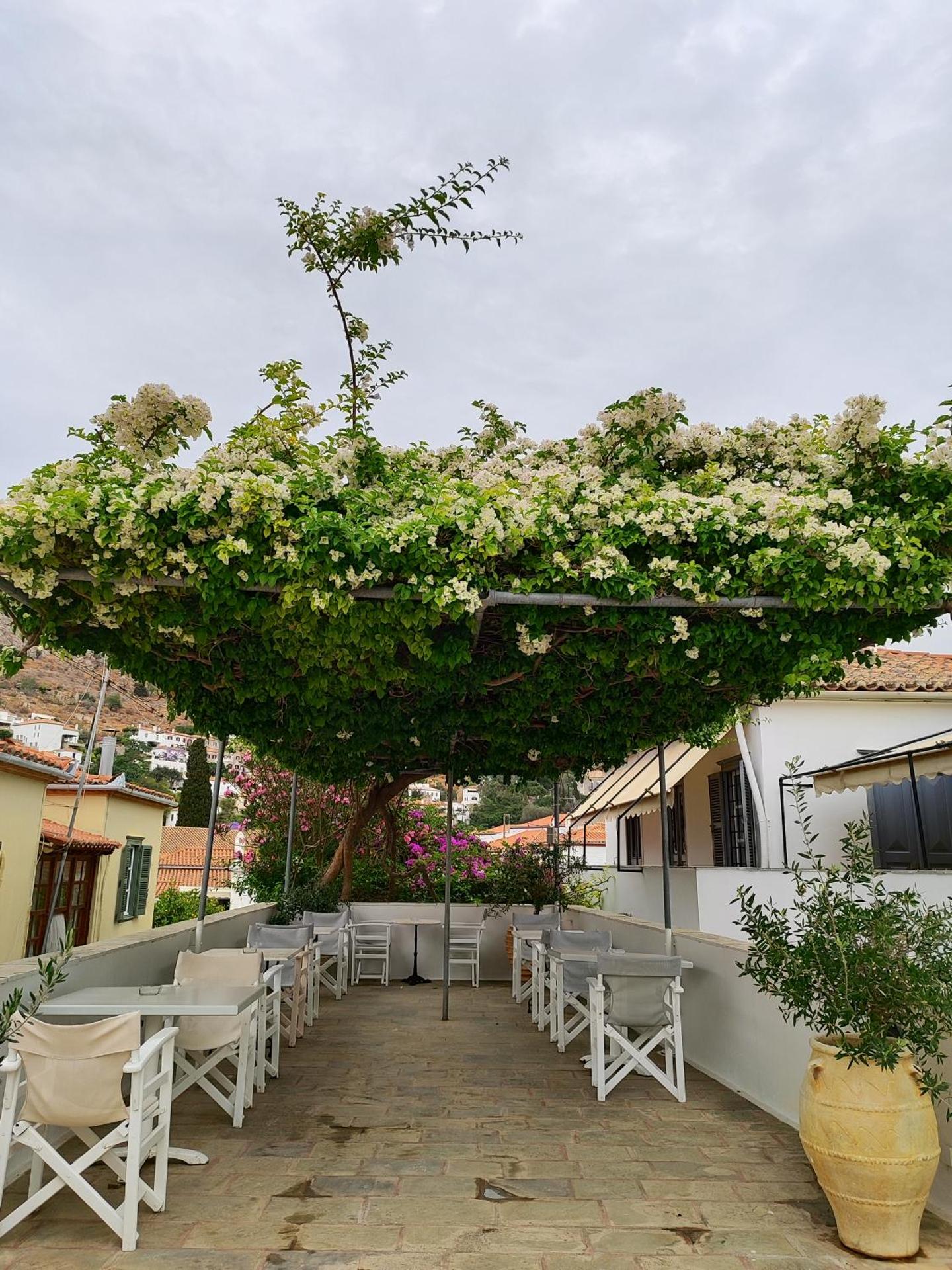 Sidra Hotel - Photo 120