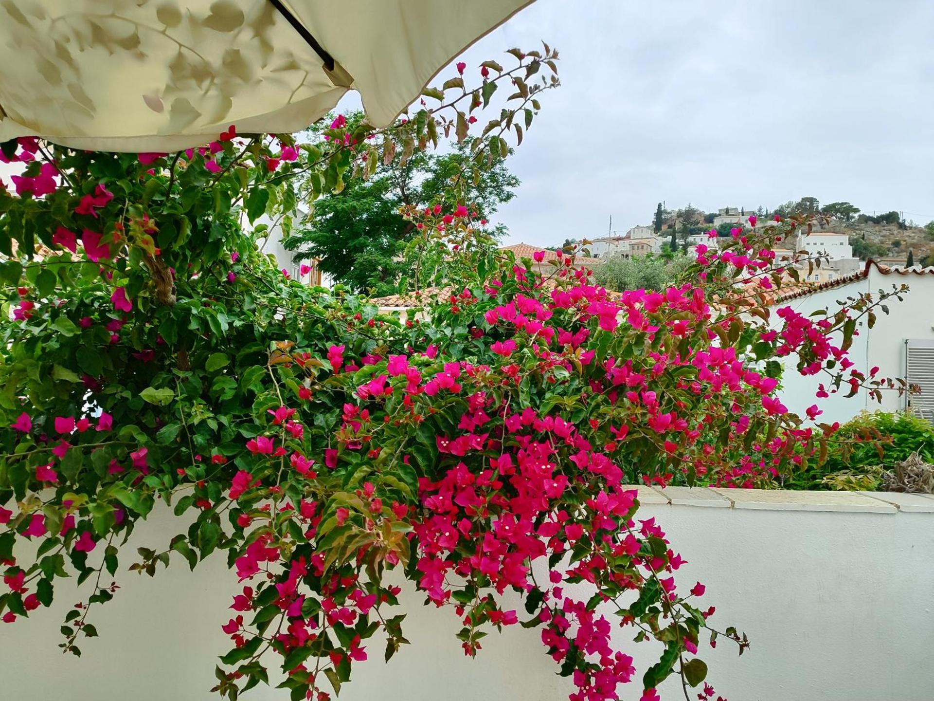 Sidra Hotel - Photo 121