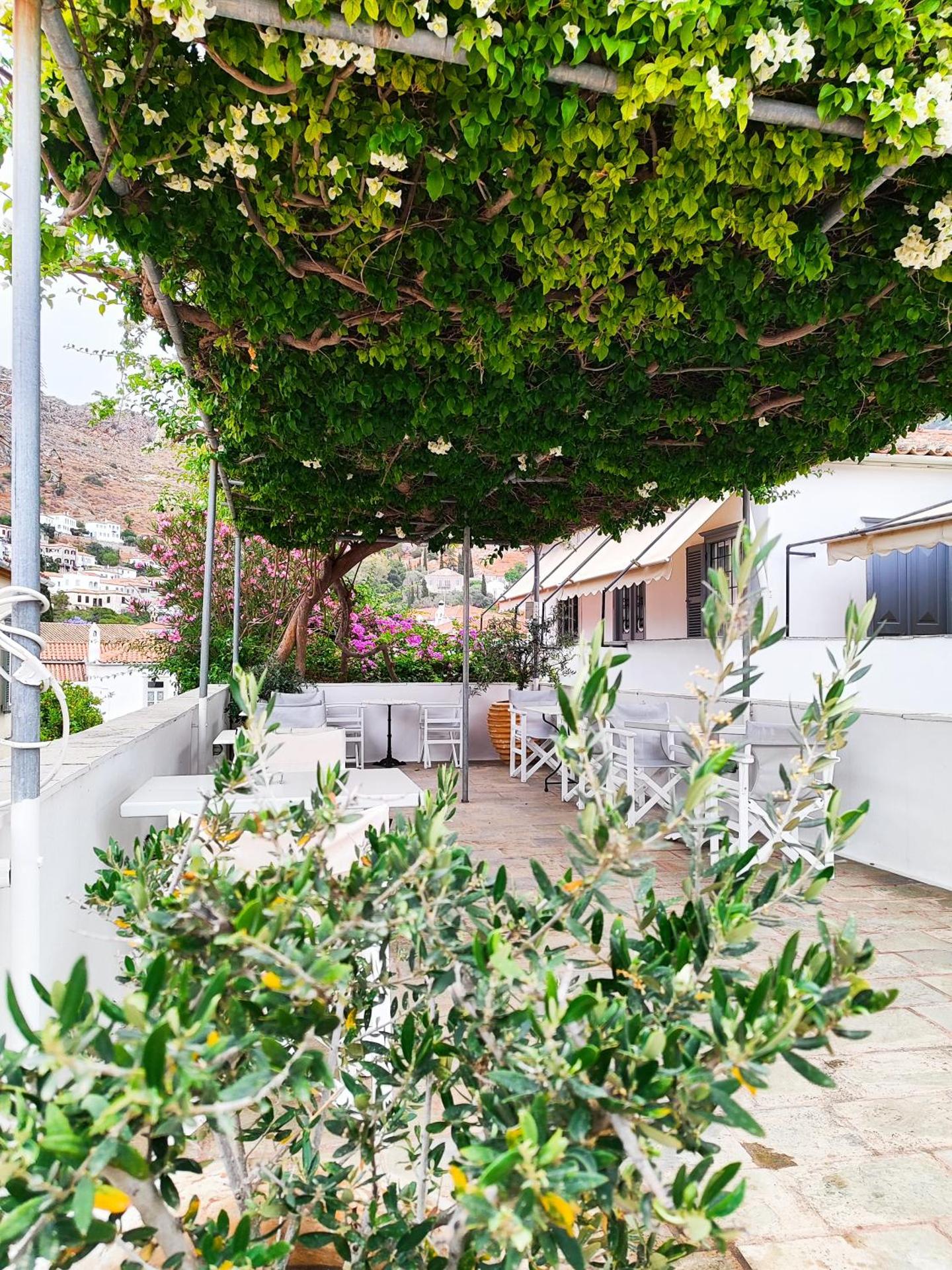 Sidra Hotel - Photo 6