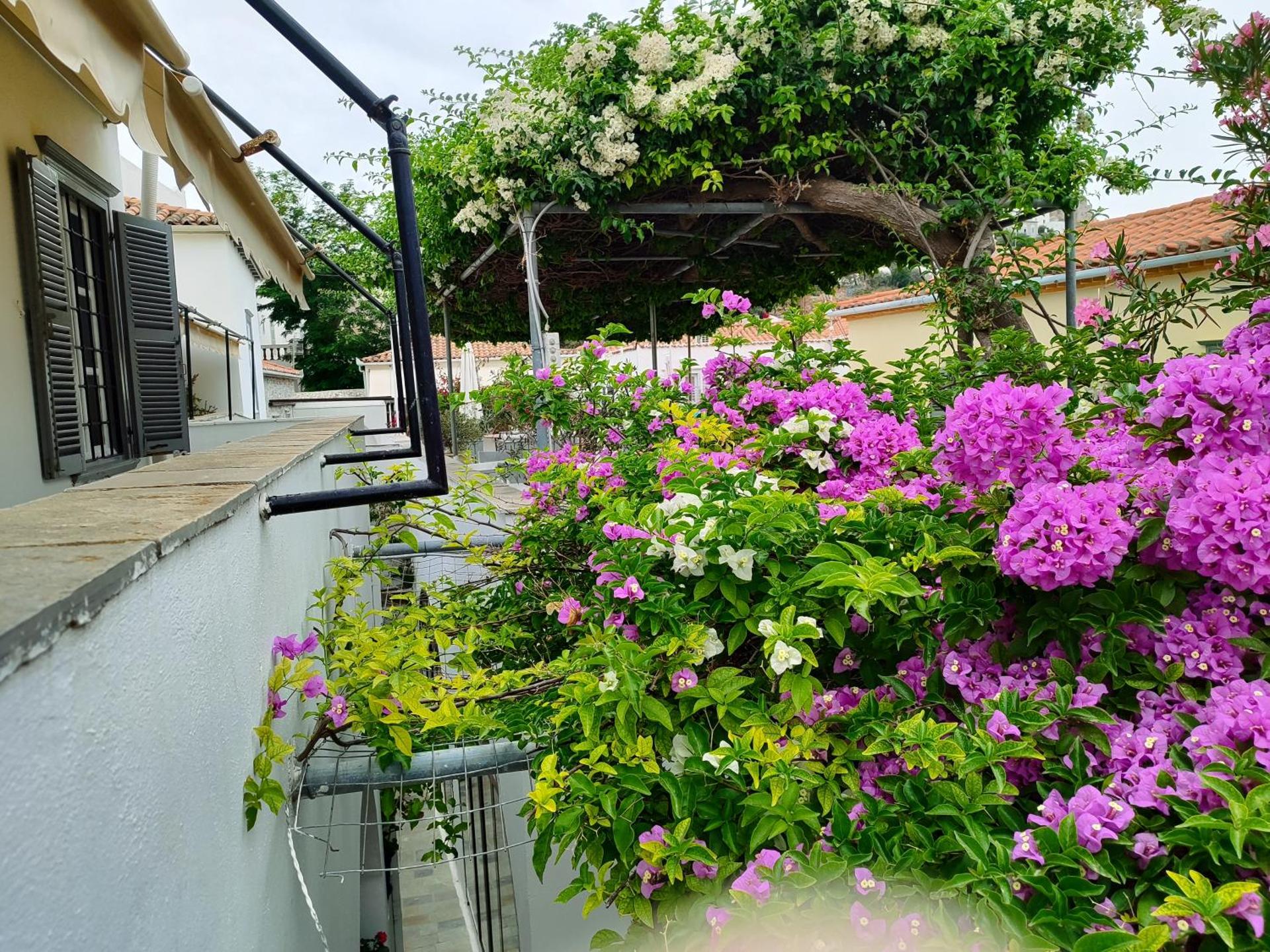 Sidra Hotel - Photo 124