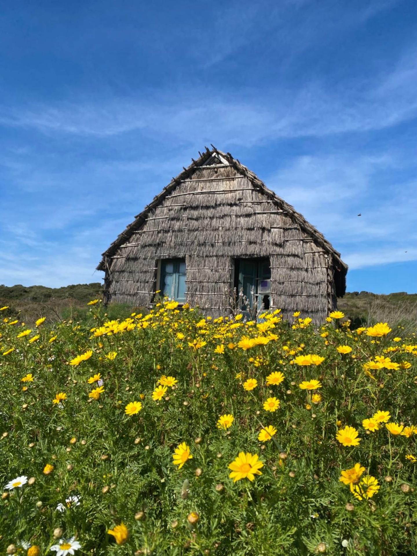 Hotel Villa Canu - Photo 21