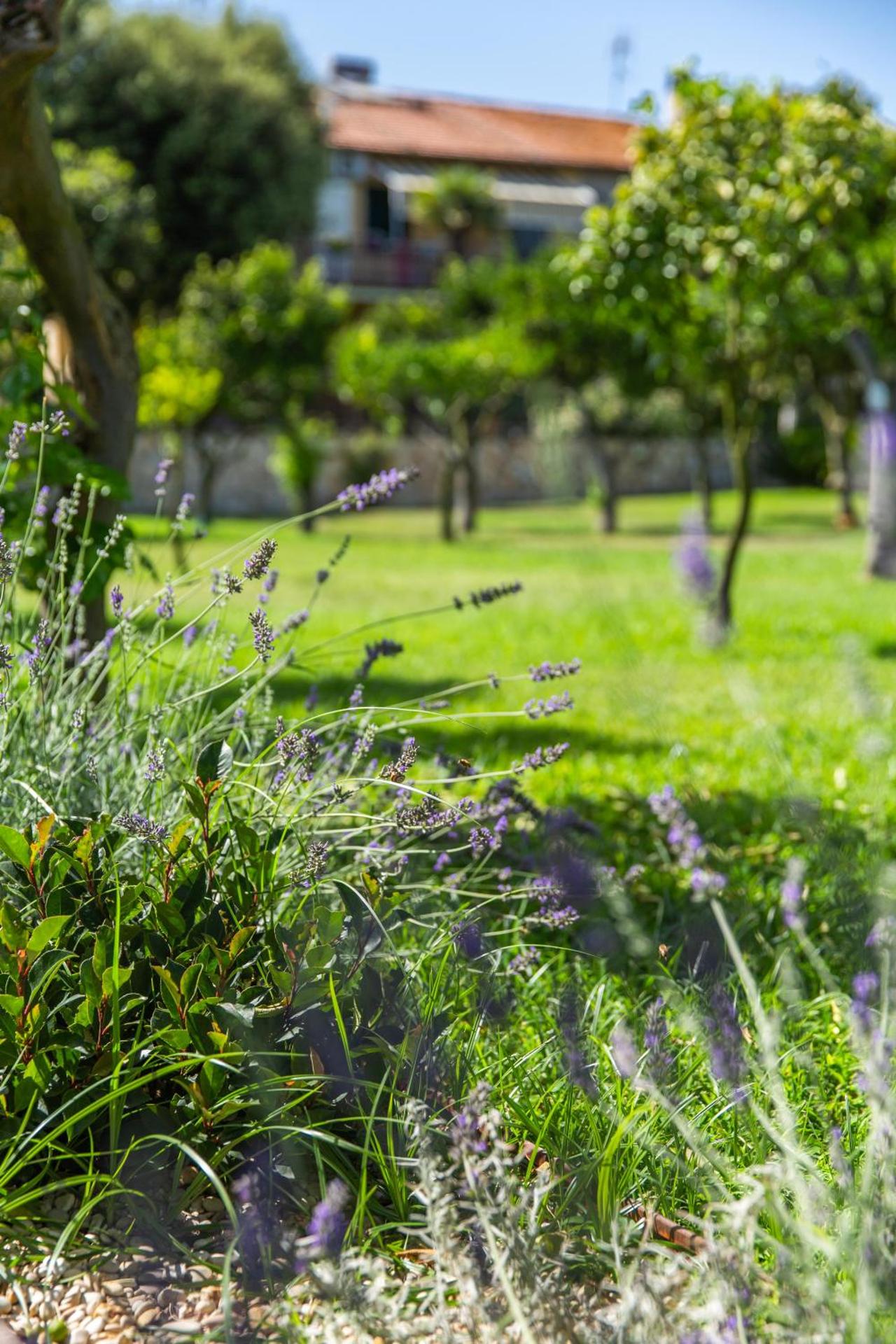 I Lecci Guesthouse - Photo 271