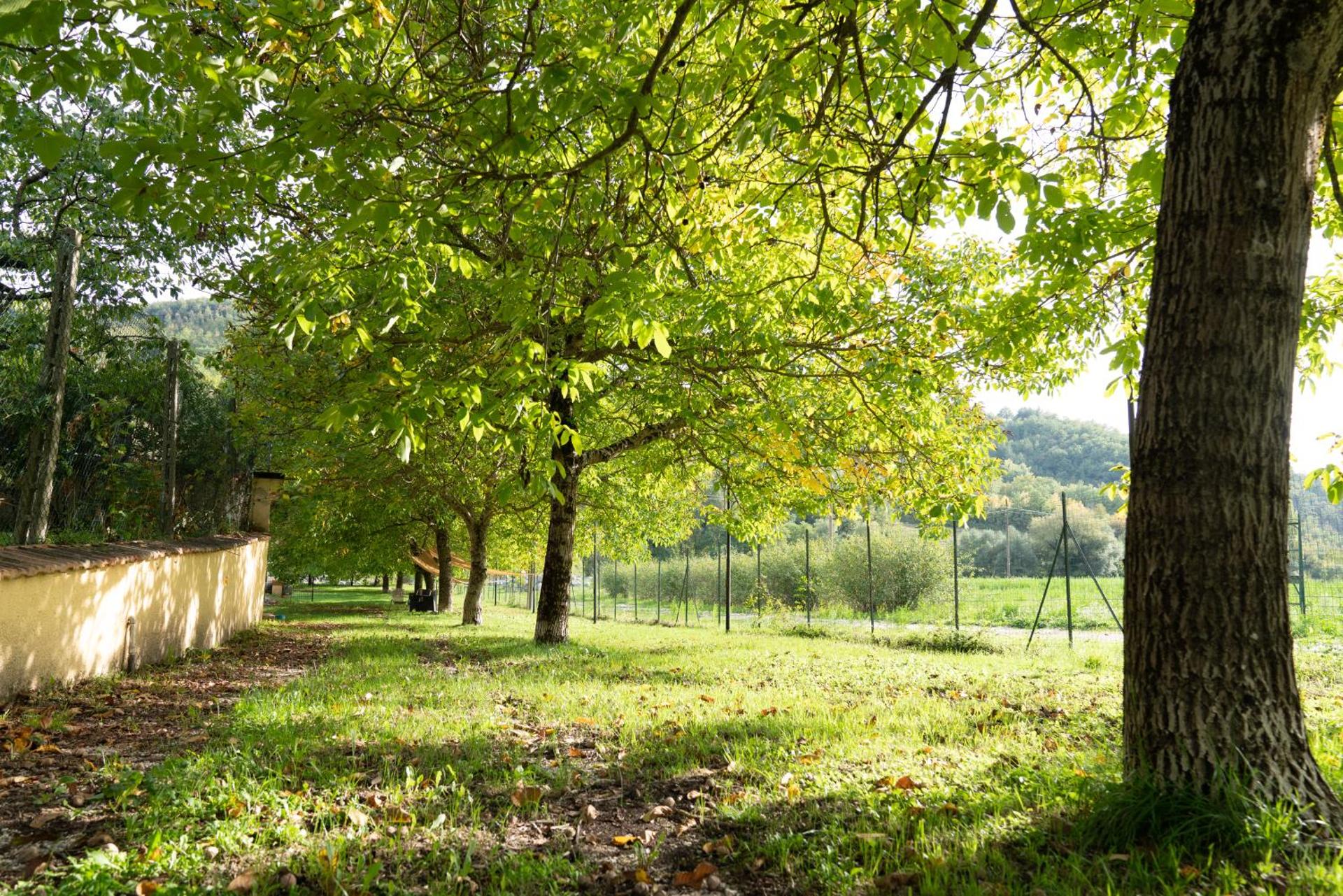 Domus Laetitiae Santa Croce - Photo 31
