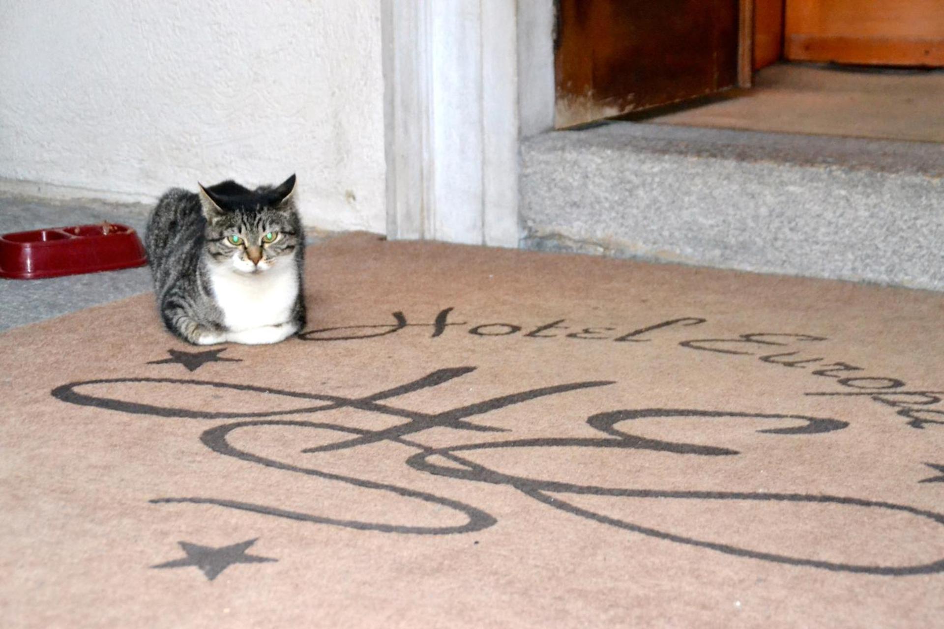 Hotel Europa Varese - Photo 97